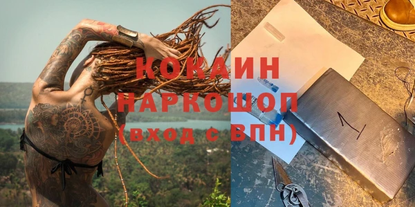 соль ск Арсеньев