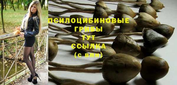дживик Пролетарск