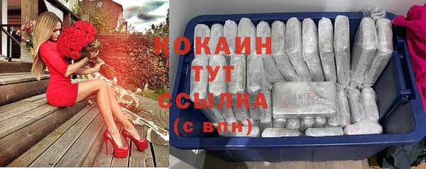соль ск Арсеньев