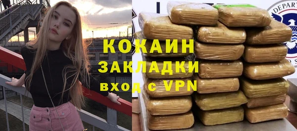 соль ск Арсеньев