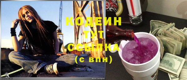 соль ск Арсеньев